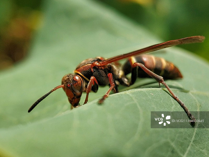 晒太阳图片素材