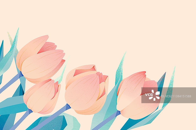 郁金香壁纸插画植物花卉背景图片素材