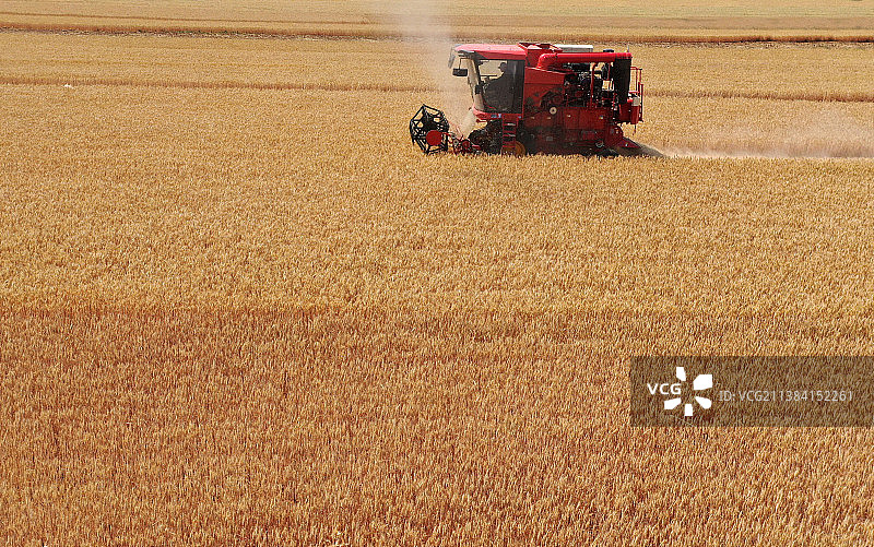 联合收割机在田间收割小麦图片素材