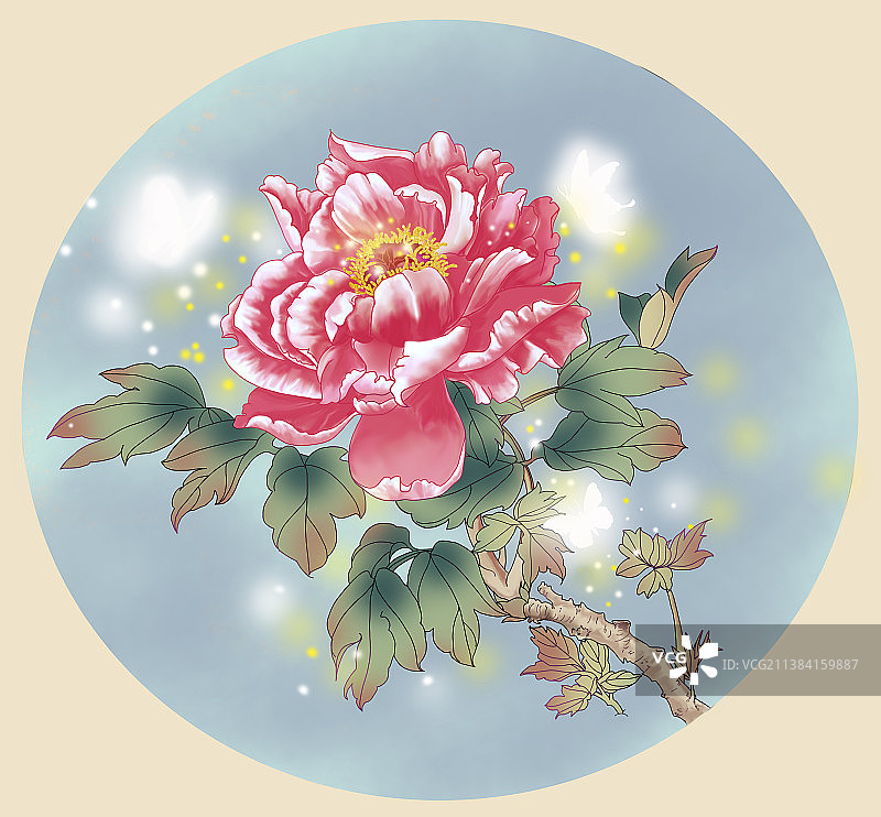 牡丹花图片素材