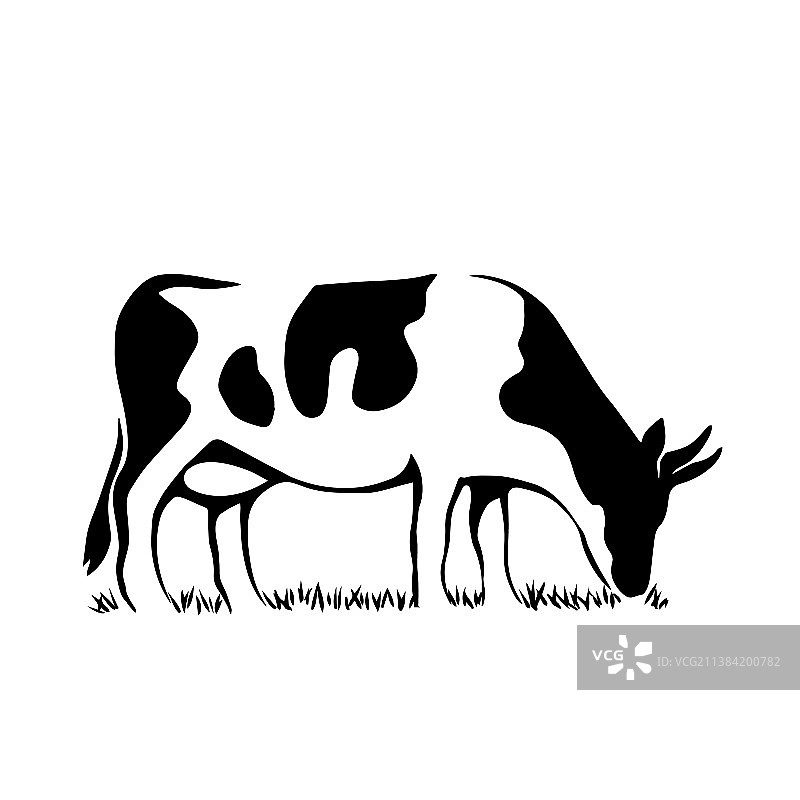 吃草的黑白奶牛图片素材