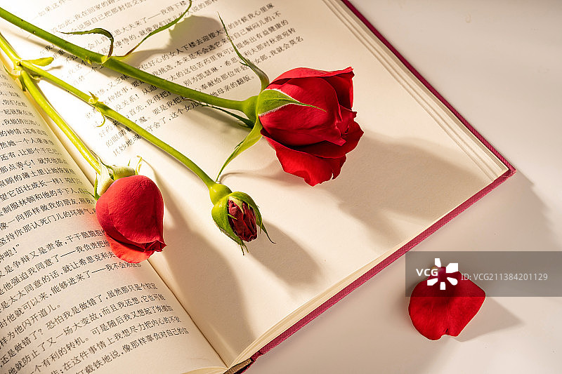 移交三口三朵玫瑰花图片素材