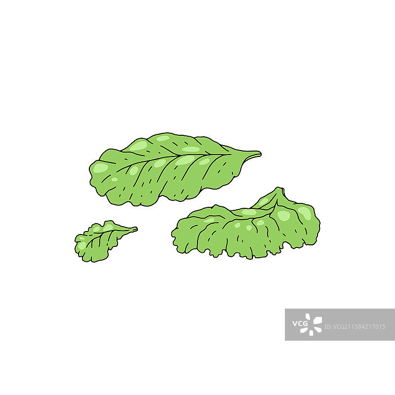 手绘彩色沙拉草图图片素材