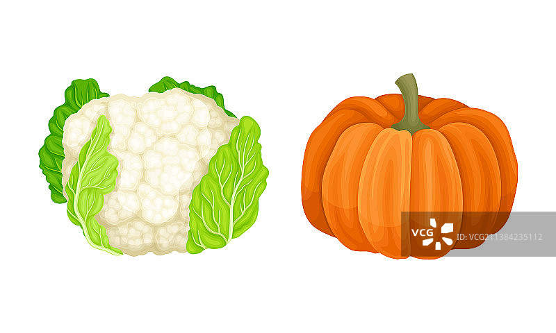 成熟蔬菜花椰菜和橙色南瓜图片素材