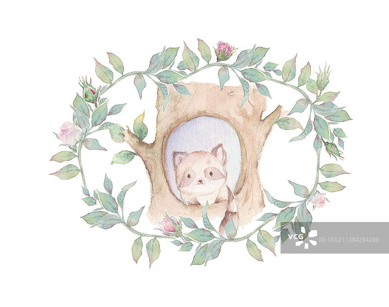 白色背景下的树洞特写镜头下的小熊猫图片素材