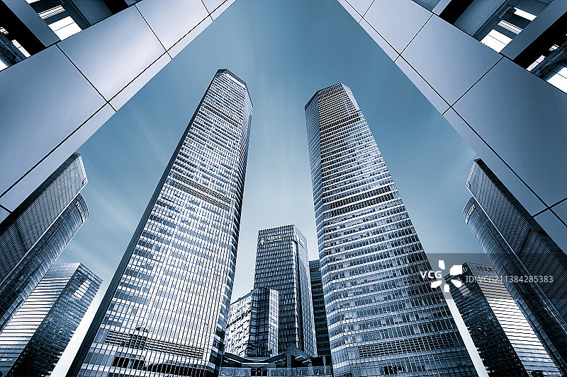 现代丛林图片素材