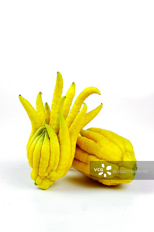 佛手柑图片素材