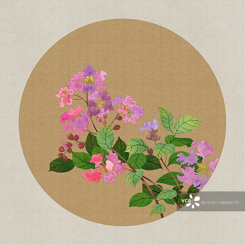 紫薇花图片素材