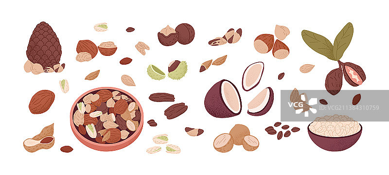 坚果和种子组合：核桃、腰果、杏仁图片素材