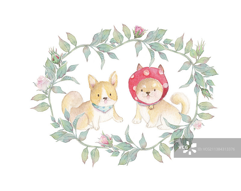 水彩手绘白色背景花环中的两只小狗特写镜头图片素材