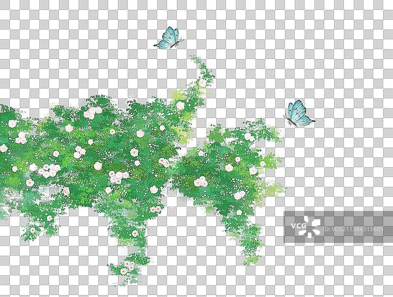 蔷薇蝴蝶素材图片素材