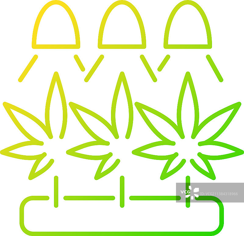 大麻种植渐变线性图标图片素材