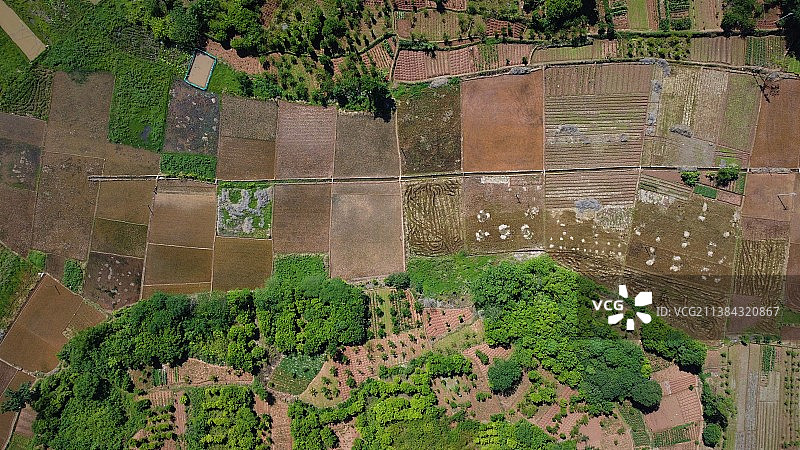 春耕田野图片素材