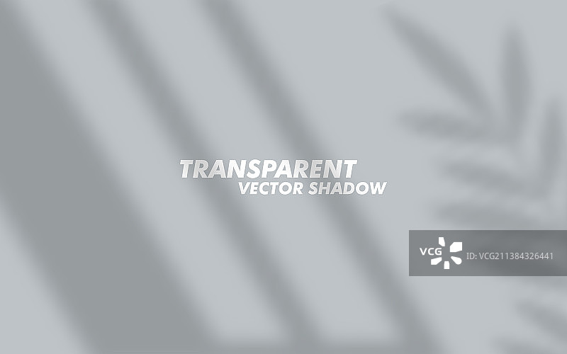 光线下的逼真树叶阴影叠加图片素材