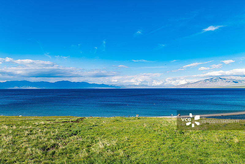 中国新疆博尔塔拉州博乐市赛里木湖金花紫卉图片素材