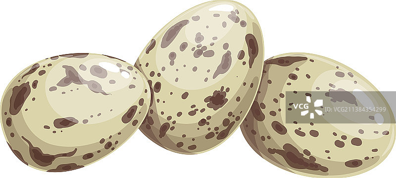 完整的鹌鹑蛋图片素材