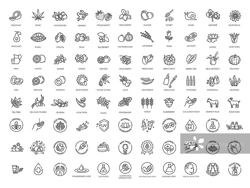 天然有机化妆品纯素食品符号图片素材