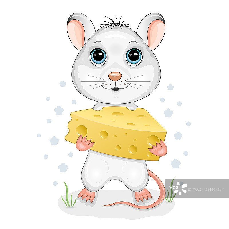 老鼠图片素材