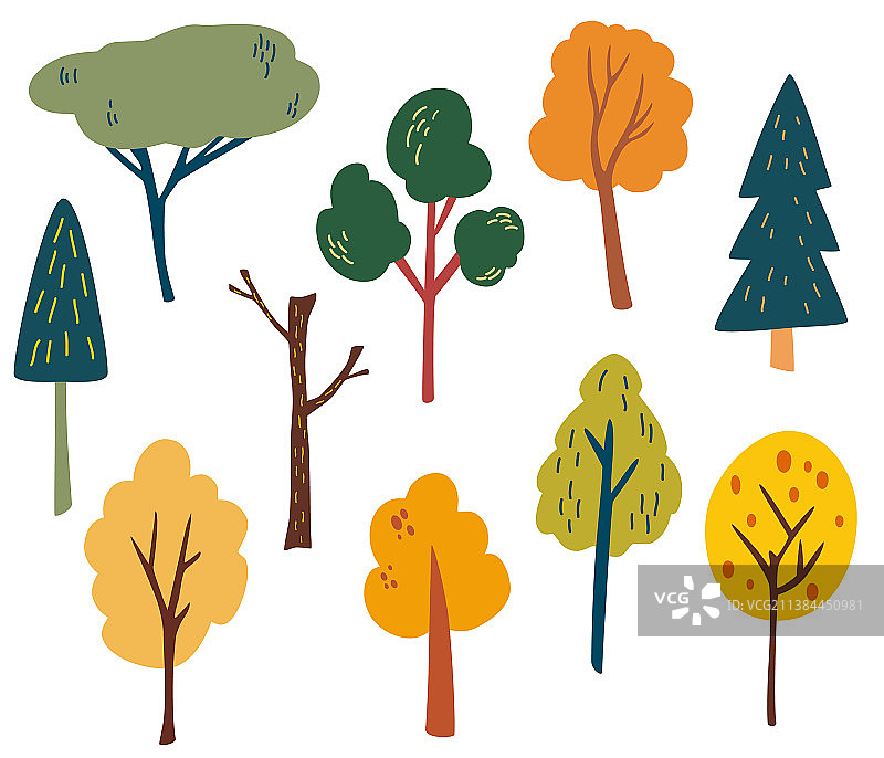 各种树木大集合：冷杉、松树、云杉、落叶松图片素材