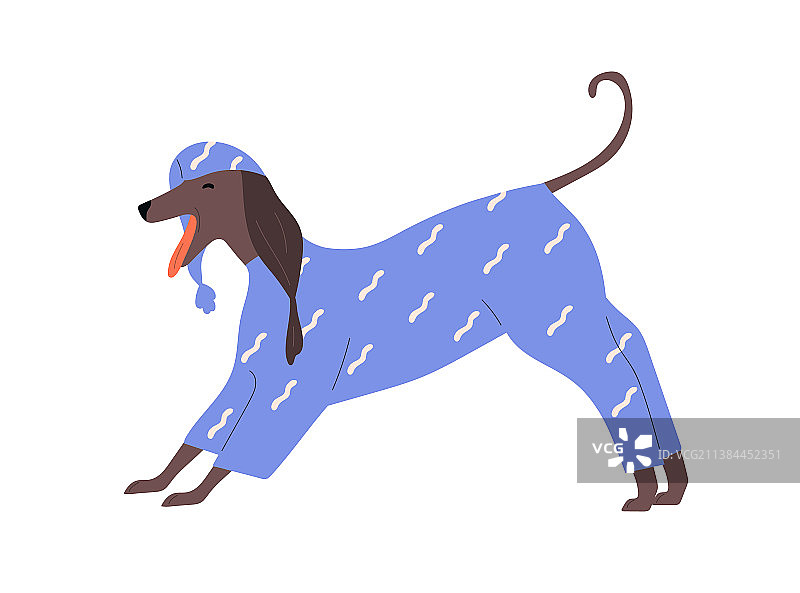 可爱有趣的睡衣小狗图片素材