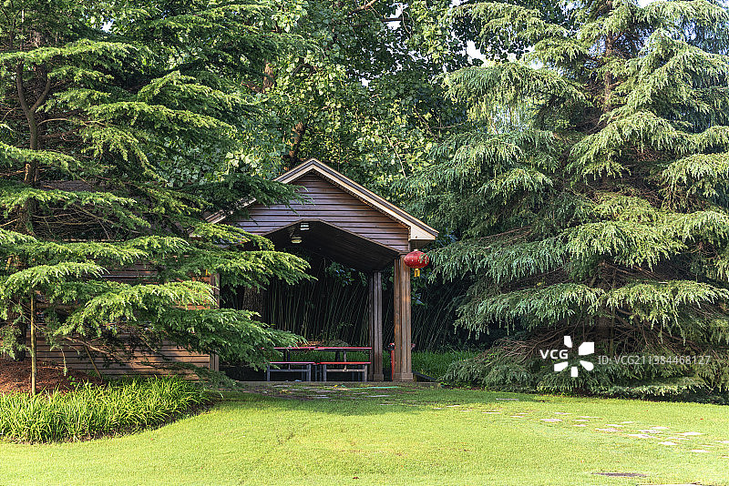 上海世纪公园图片素材