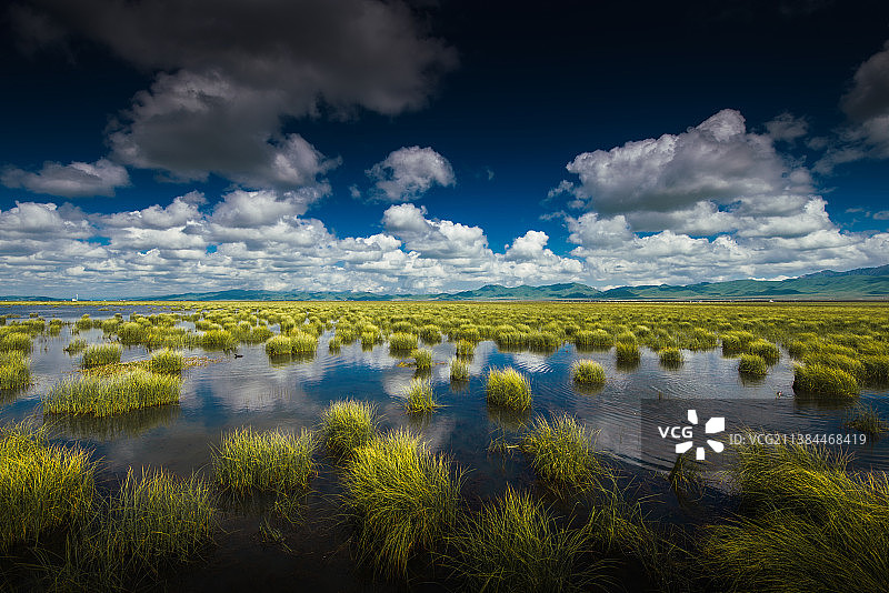蓝天白云下的草甸湿地图片素材