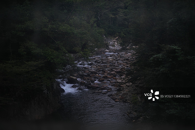 森林中绿树成荫的河流风景图片素材