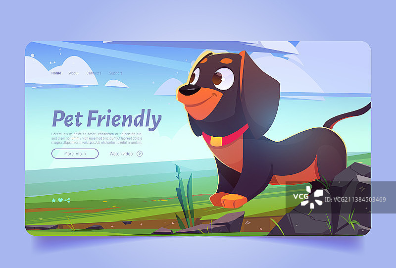 草坪上可爱小狗的宠物友好banner图片素材