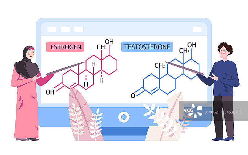 雌激素分子教学，作为女性荷尔蒙图片素材