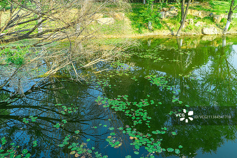 中国非都市风光拍摄主题，山东省泰安市岱岳区泰山西湖风景区，大理石拱桥外立面和宁静的湖泊，户外白昼无人图片素材