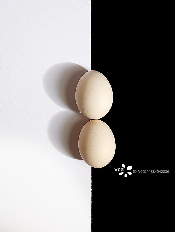 黑白搭配背景上的鸡蛋图片素材