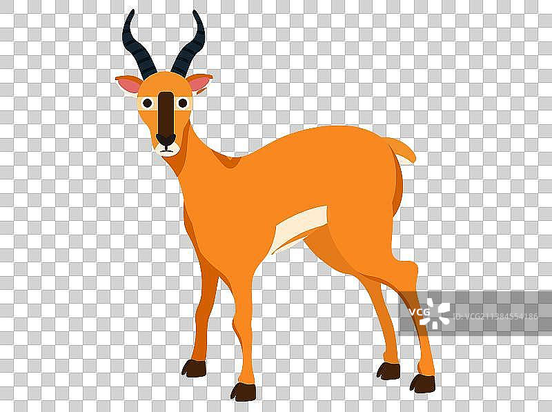 羚羊图片素材