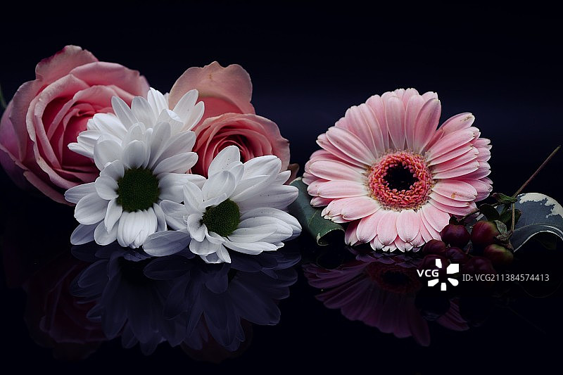 黑色背景下的花朵特写图片素材