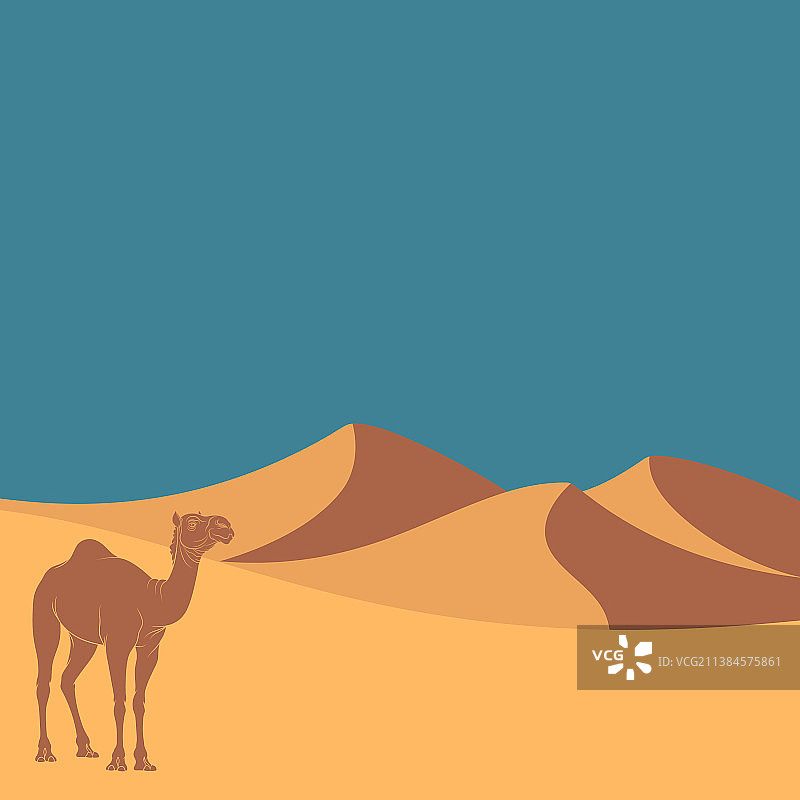 沙漠沙丘与骆驼景观图片素材