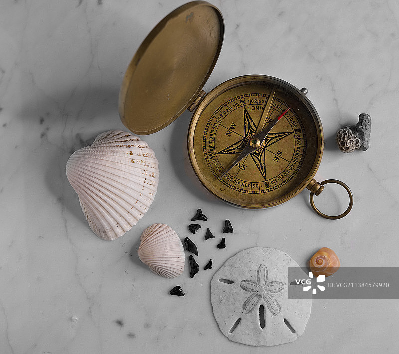 鲨鱼牙齿，俯视拍摄的怀表和海贝图片素材