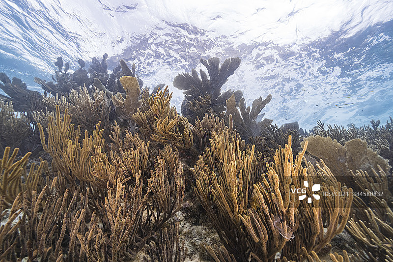 雪山映衬着天空的风景图片素材
