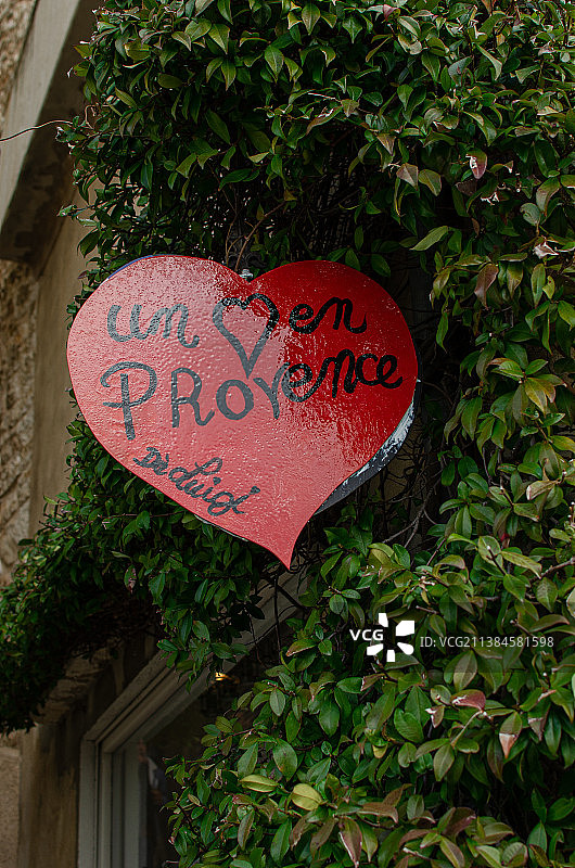 普罗旺斯之心：圣保罗·迪·文扎植物上的心形特写，法国图片素材