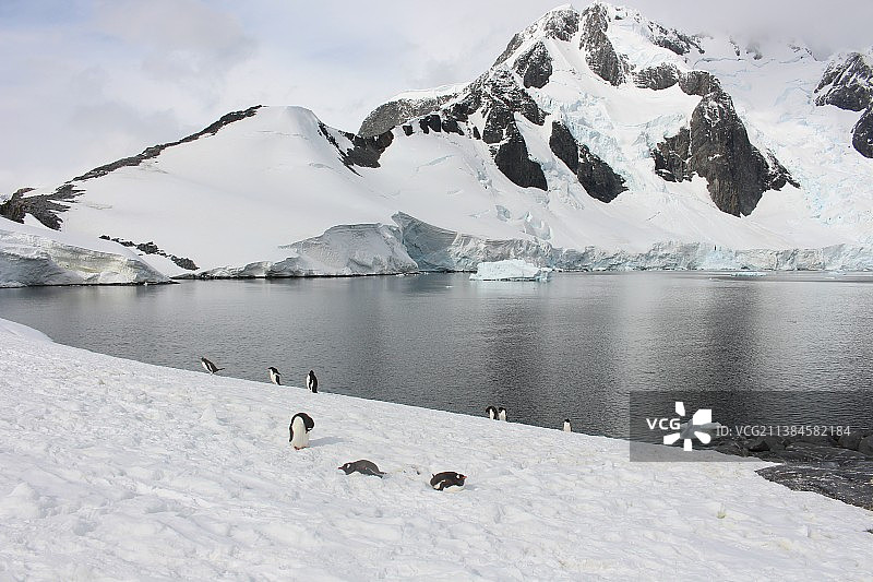 南极洲雪山湖泊风光图片素材