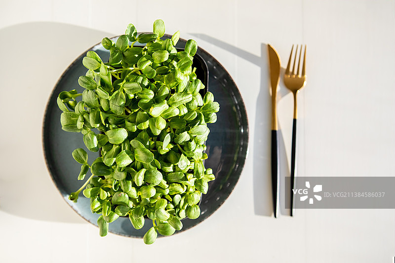 浅色背景上的盘装成熟微型蔬菜图片素材