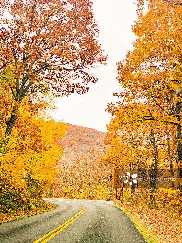 美国弗吉尼亚州的秋日树林空旷小路图片素材