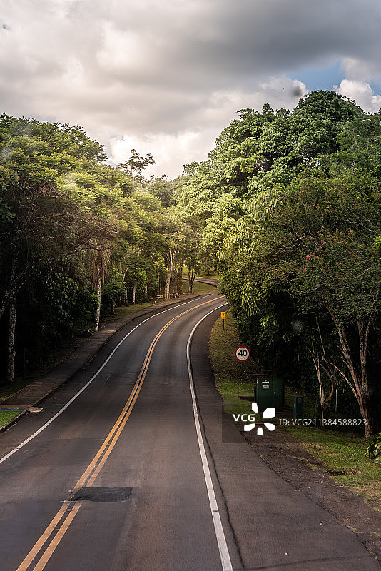 阿根廷米西奥内斯省的森林公路图片素材