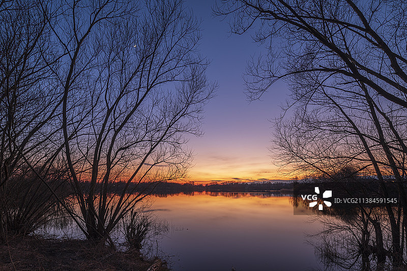 德国巴特奥eyn豪森的日落时分，湖边光秃秃的树木的轮廓图片素材