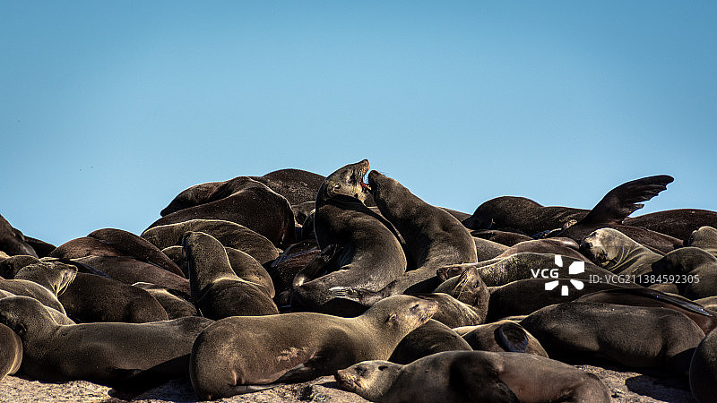 南非开普敦岩石仰视角度景观图片素材