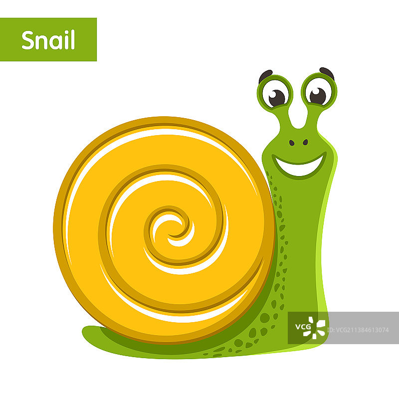 带着黄色外壳的微笑绿色蜗牛图片素材