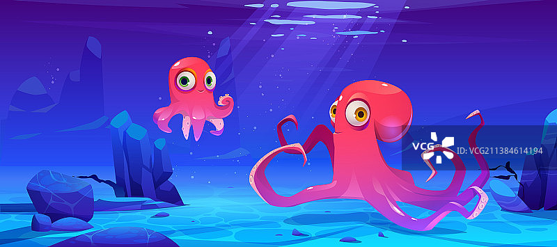可爱的章鱼在海中水下游泳图片素材