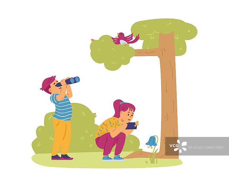 儿童观鸟拍摄蓝铃花照片图片素材