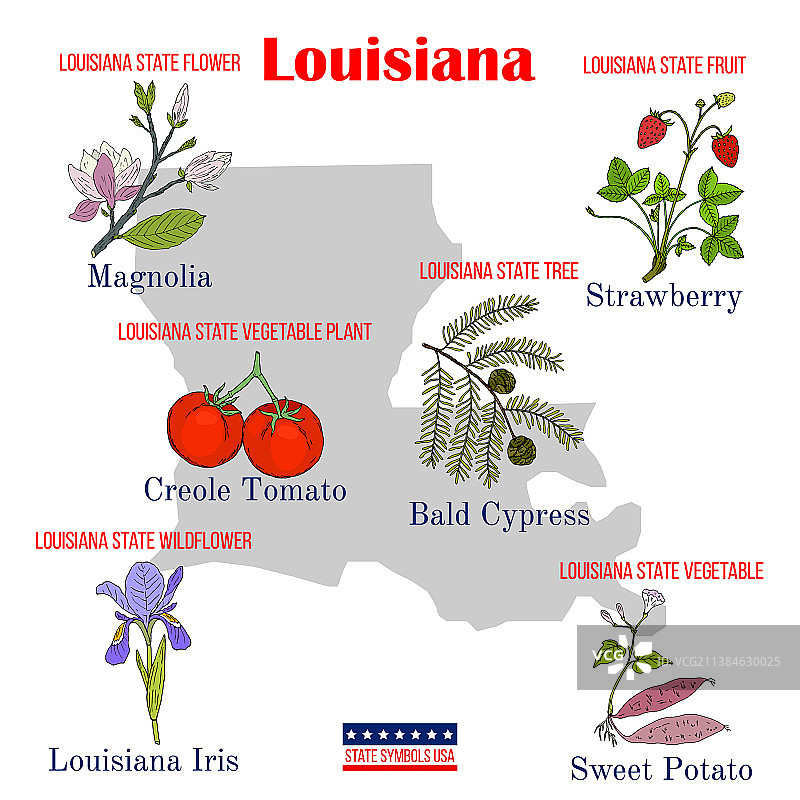 美国路易斯安那州官方标志图片素材