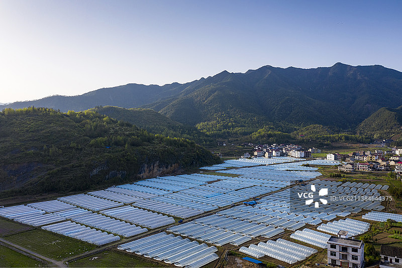 山区西瓜种植基地图片素材