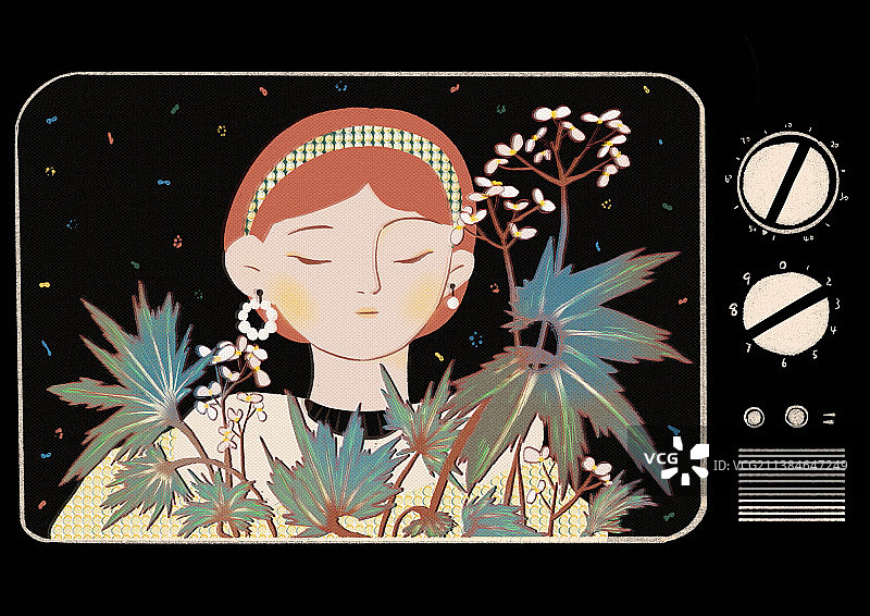 《电视节目-霹雳舞秋海棠》图片素材