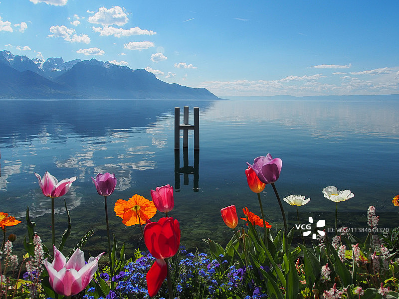 蒙特勒花卉，多云天空下的湖泊美景，瑞士沃州蒙特勒图片素材